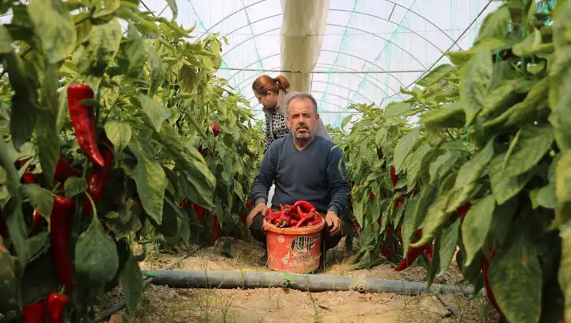 İhtiyaç Paketinin Fiyatı Neden Yüzde 50 Arttı? Tüketiciler Ne Düşünüyor!