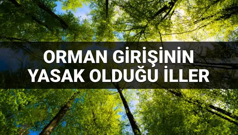 2025’te Ormana Girişin Yasaklandığı İller Hangileri? İşte Detaylar!