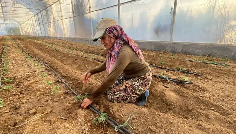 Gençler, Fideler Toprakla Buluştu: Her Gün 6 Saat Çalışarak Geleceği Yeşertiyor