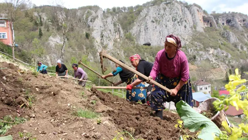 Zorlu Mesai Başladı: Sırtında Sepetler, Elinde Kazmalarla Mücadele Edenler