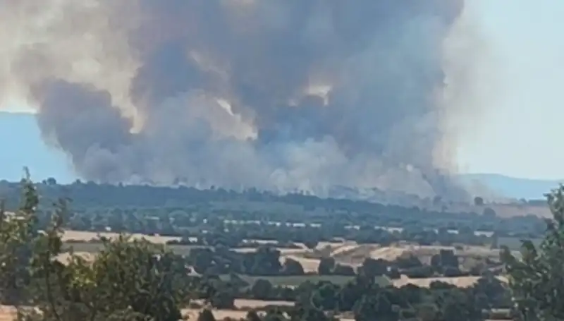 Komşu Orman Yangınları Edirne'yi Nasıl Etkiledi? İşte Tüm Detaylar