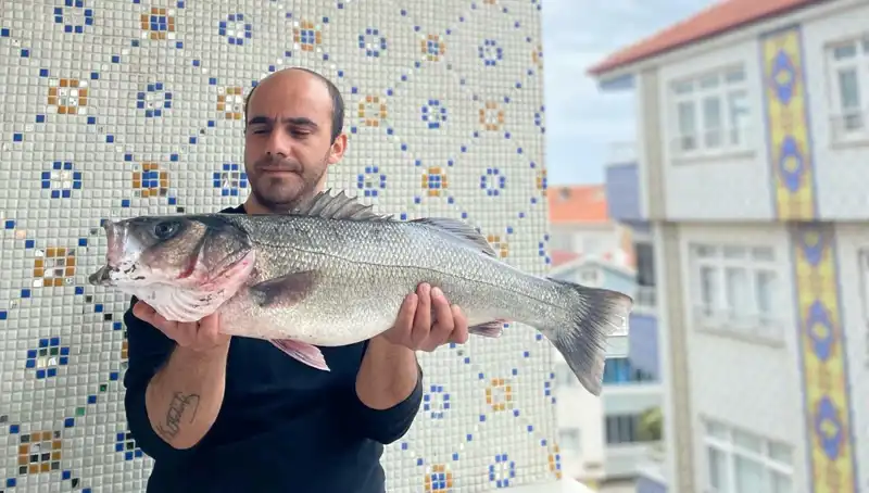 7,5 Kiloluk Dev Levrek Avı: Balıkçıların Hayalini Gerçekleştirdi!