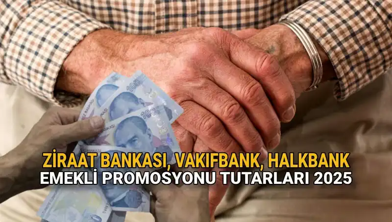 2025’da Emeklilere Promosyon Müjdesi: Kamu Bankaları Ne Sunuyor?