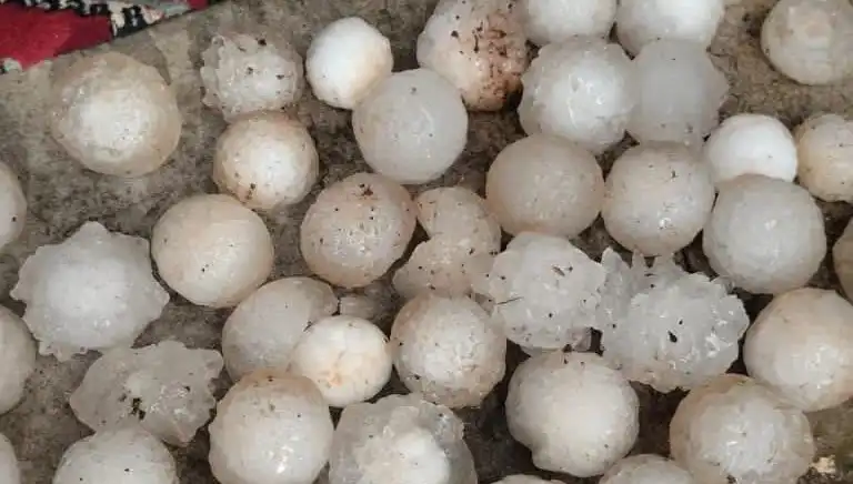 Şanlıurfa'da Kar Topu Büyüklüğünde Dolu Alarmı! Doğa Dikkat Çekti