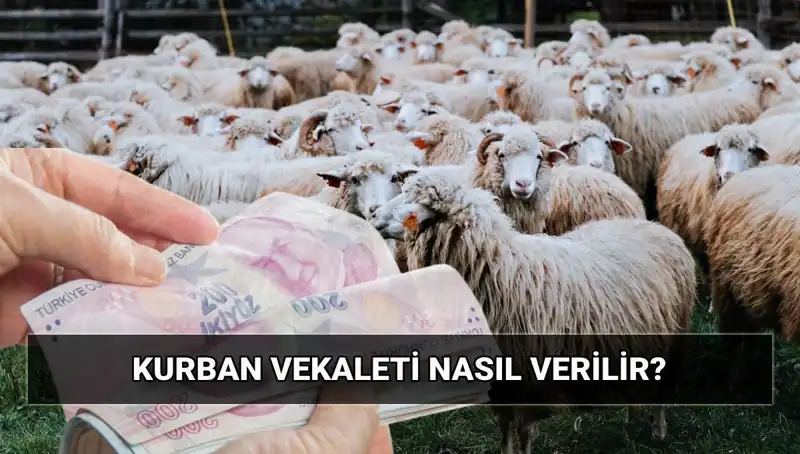 Vekaletle Kurban Kesimi: Diyanet 2025 Bedeli ve Süreç