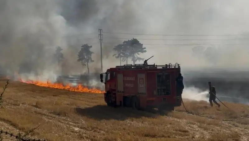 Kırklareli'nin Korkutan Anız Yangını: Doğa ve Tarım Tehdit Altında!