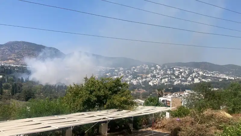 Muğla'daki Orman Yangınları Kontrol Altına Alındı: Son Durum ve Önlemler
