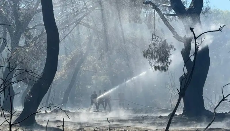 Çanakkale, Antalya ve Hatay Yangınları Kontrol Altına Alındı: Son Durum Raporu