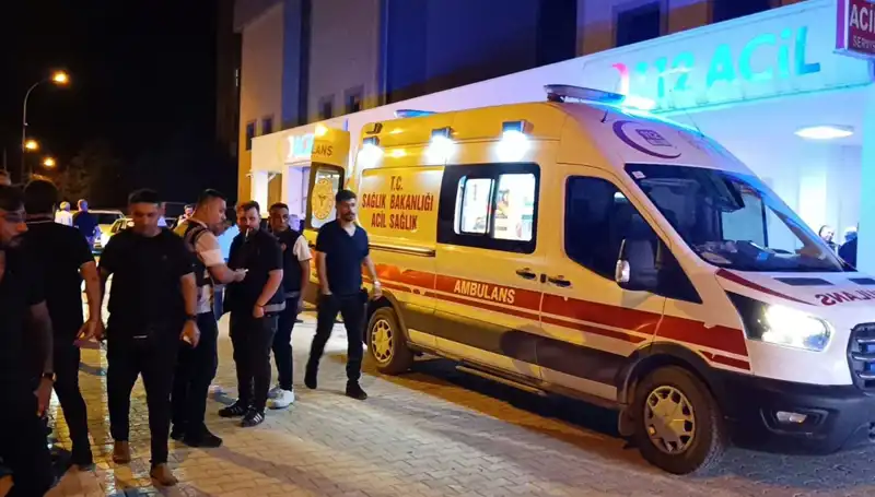 Kardeş Kavgasını Ayırmaya Çalıştı, Hayatını Kaybetti