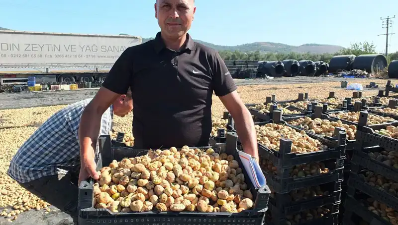 Balıkesir'de Tarım Sezonu Açıldı: Çin ve Rusya'ya İhracat Hedefi