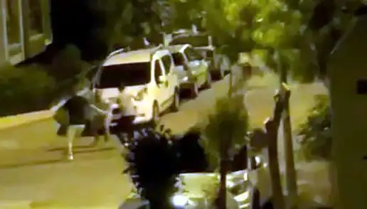 Avcılar'da 3 Kişinin Saldırısına Uğrayan Vatandaş, Çevredekilerin Müdahalesiyle Kurtarıldı