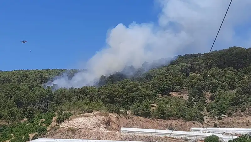 Kumluca'da Yangın Alarmları: Orman Yangını Nedenleri ve Son Gelişmeler