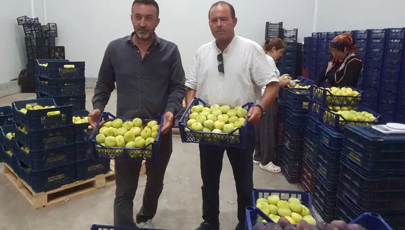Mersinli Çiftçilerin Yüzü Güldü: İhraç Edilen Ürünler Rekor Kırdı