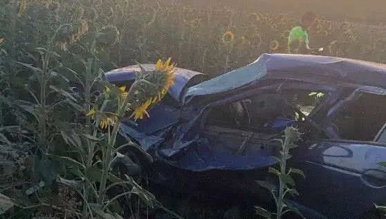 Otomobil Ayçiçeği Tarlasına Devrildi: 3 Yaralı, Şok Eden Kaza!