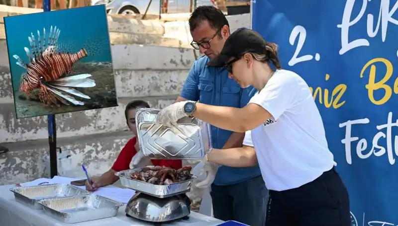 Antalya'da İstilacı Aslan Balığı Avlama Yarışması: Denizlerin Korunması İçin Büyük Adım