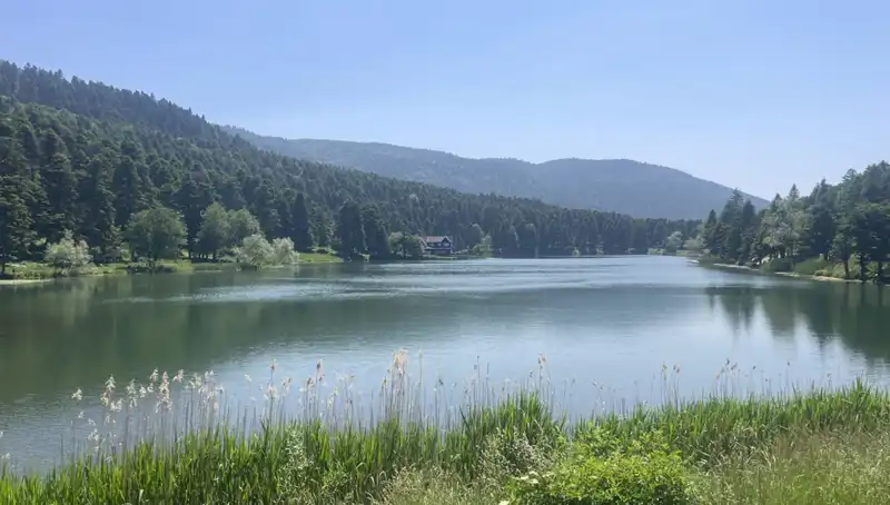 Bolu Milli Parkları: Doğa Tutkunlarının Yeni Gözdesi!