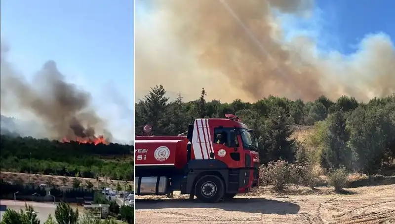 Gebze'de Meydana Gelen Orman Yangını, Alanı Tehdit Ediyor