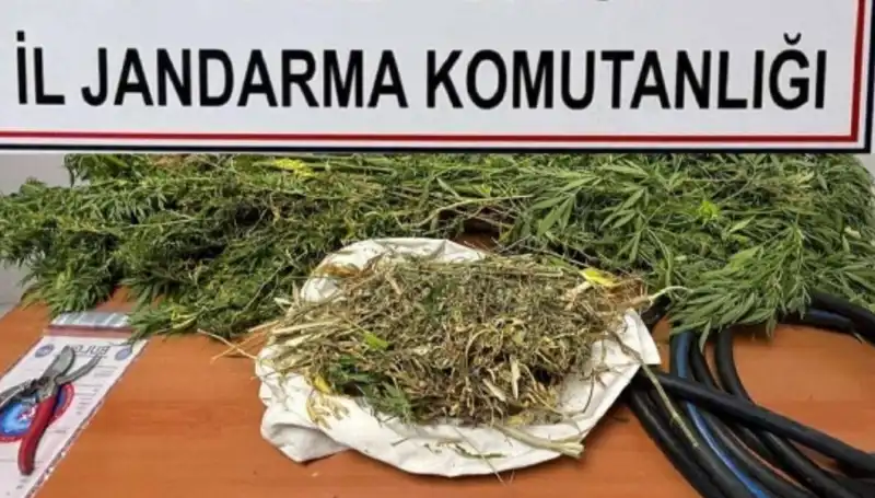 Niğde'de Uyuşturucu Operasyonu: 20 Kilo Narkotik Ele Geçirildi