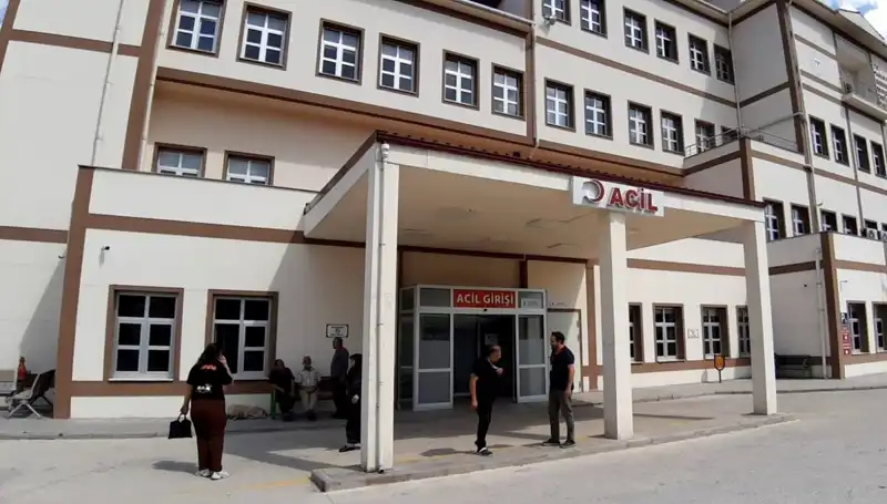 Bolu’da Ayı Avının Yeniden Başlaması: Doğanın Dengesi Tehlikede mi?