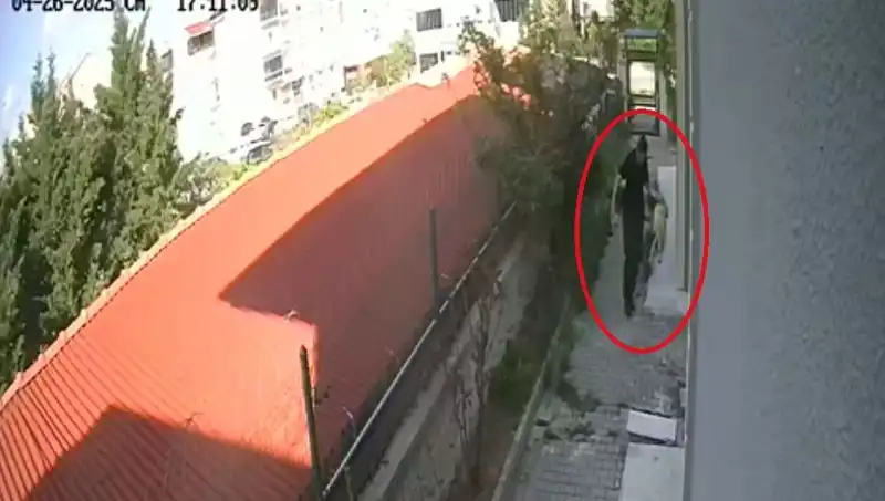 Veteriner Doktorun Şok Eden Suçlamaları: Sahiplendiği Köpekleri Parçaladı!