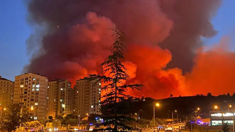 Bursa'da Yangınlar Şehirde Korku ve Panik Yarattı