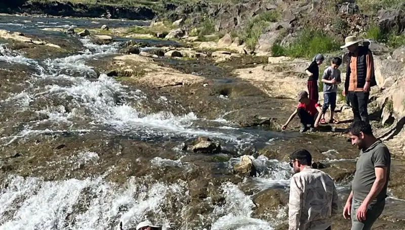 İnci Kefalinin Büyüleyici Göçü: Turistlerin İlgisini Çekmeye Devam Ediyor