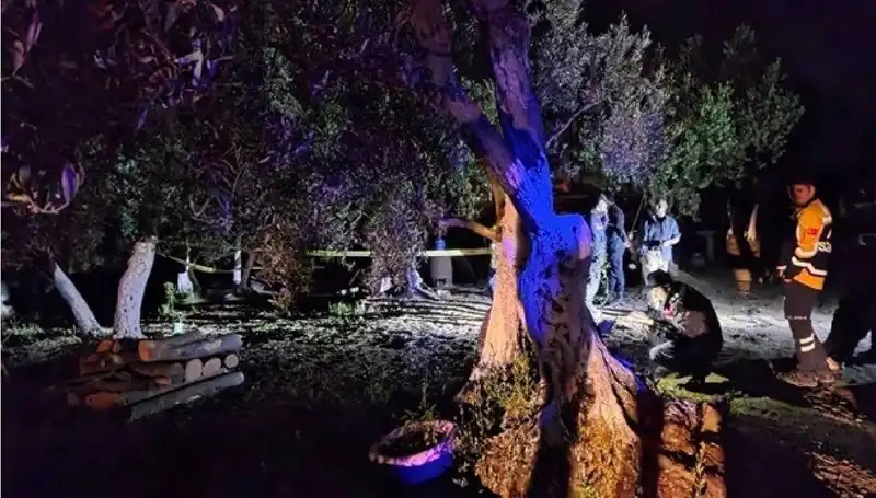 Çiftlikteki Şok Edici Baltalı Vahşet: Bir Kişi Tutuklandı!