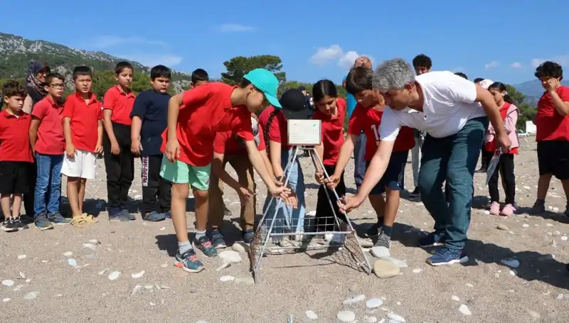 Kemer'de Caretta Caretta Koruma Yasaklarının Detayları ve Önemine Dikkat!